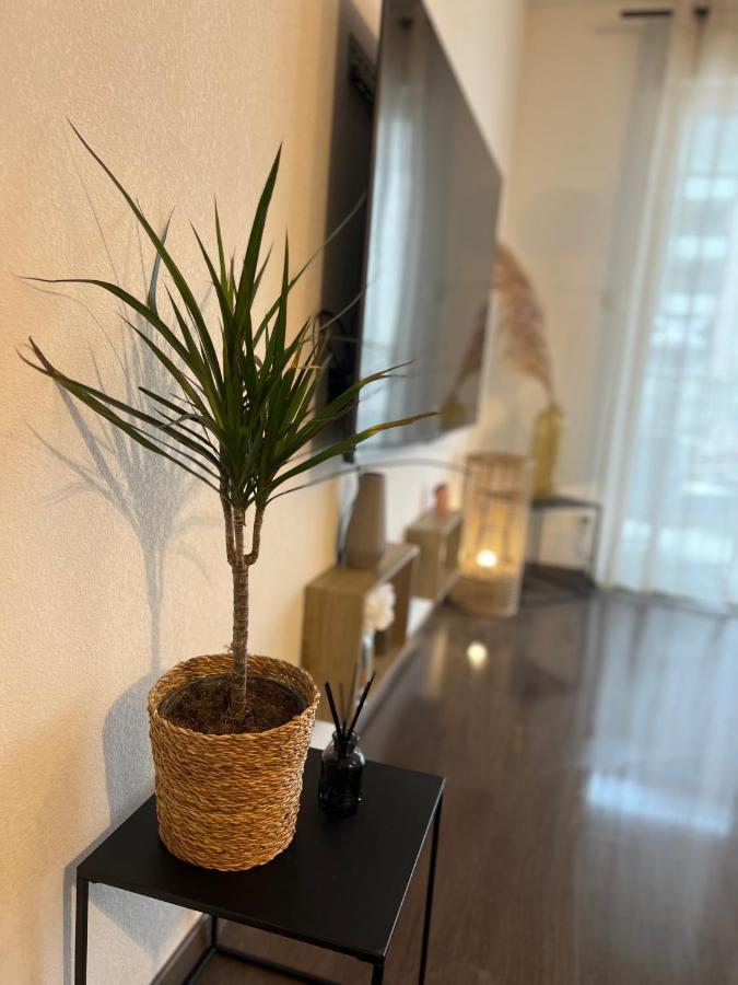 T2 Cosy Ajaccio Daire Ajaccio  Dış mekan fotoğraf